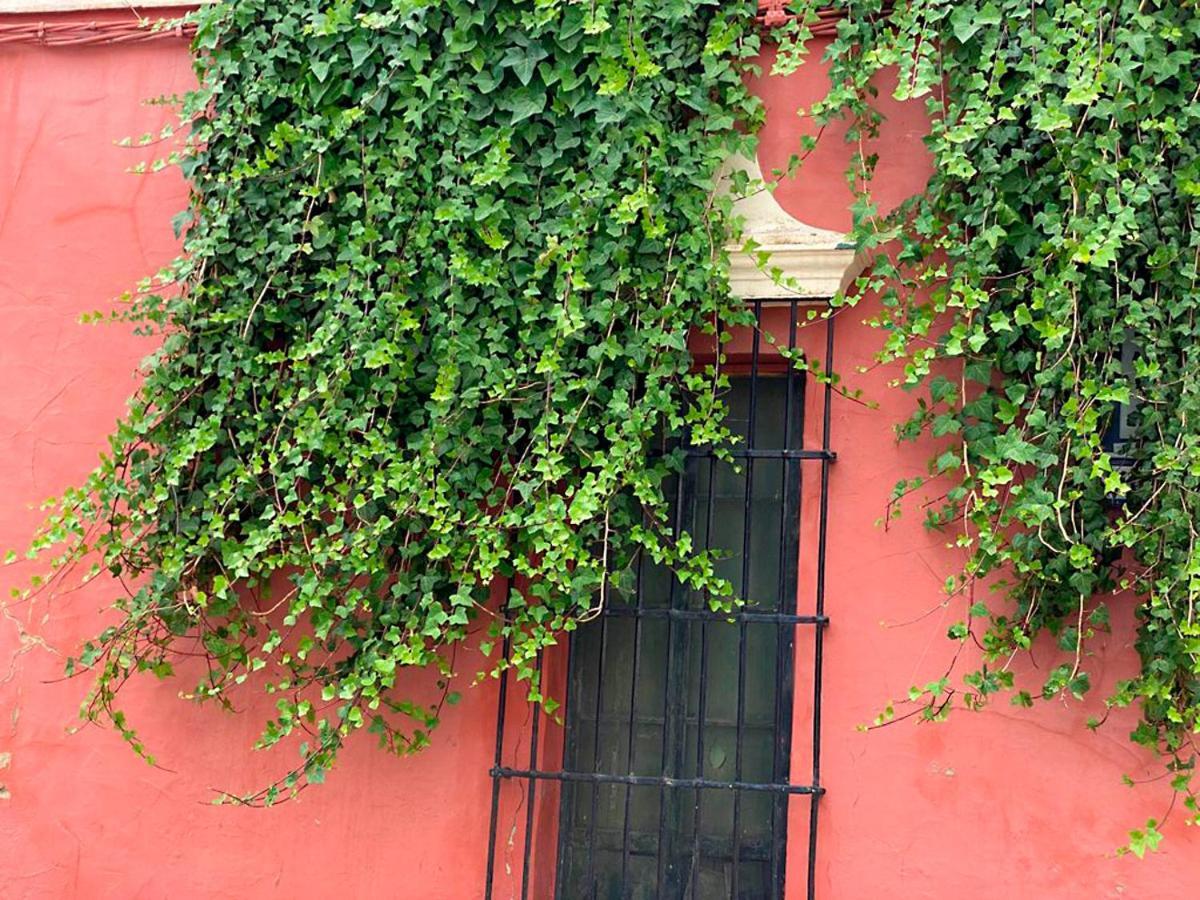 Duplex Centrico Frente A Hotel Monasterio, Playas Y Pinares En Las Proximidades El Puerto de Santa María Exterior foto
